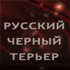 Денеб-Кейтос