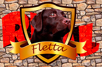 fletta